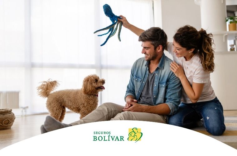 beneficios de tener un perro