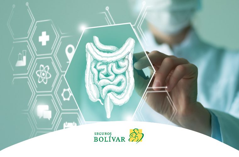 Médica borrosa de fondo usando una tableta transparente con un gráfico de un sistema digestivo y varios iconos de salud.
